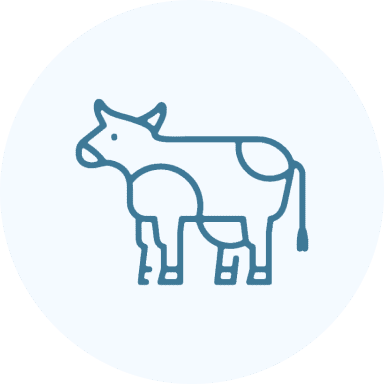 Frame 2095585073 Simple line drawing of a cow icon with minimal details.
