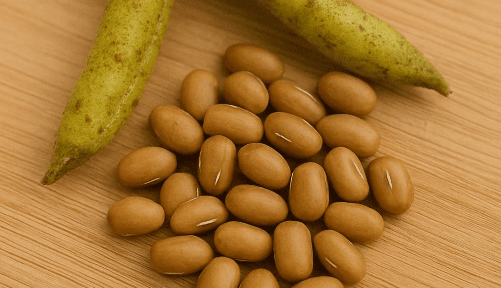 GettyImages-1170207585-20 Close-up of brown beans on a wooden surface with pods.