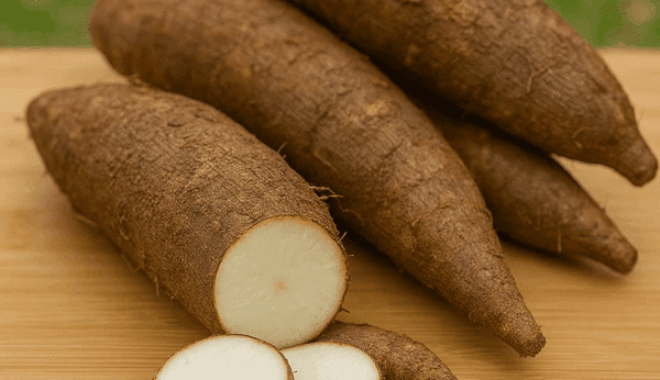 GettyImages-1170207585-32 Close-up of whole and sliced cassava roots on a surface.